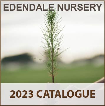 https://www.arborgen.co.nz/wp-content/uploads/2023/06/2023-catalogue-graphic.jpg